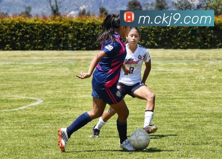 J9九游会平台生态图